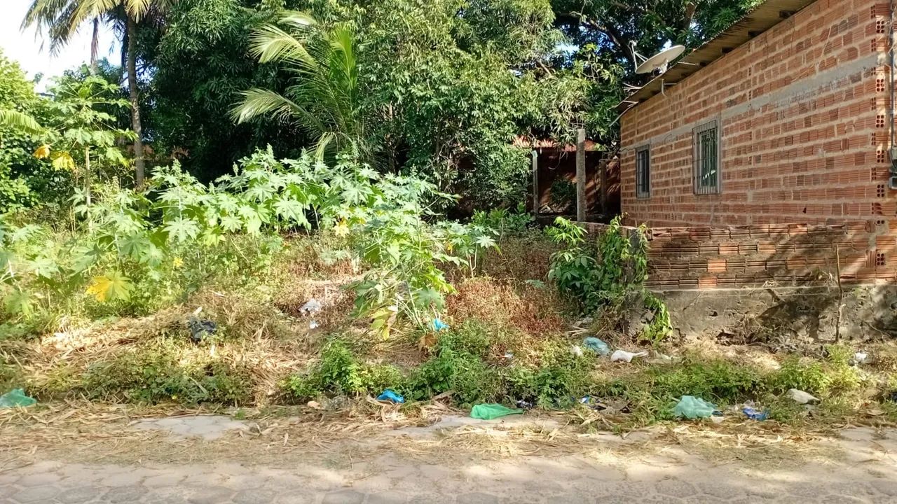 Terreno disponível 