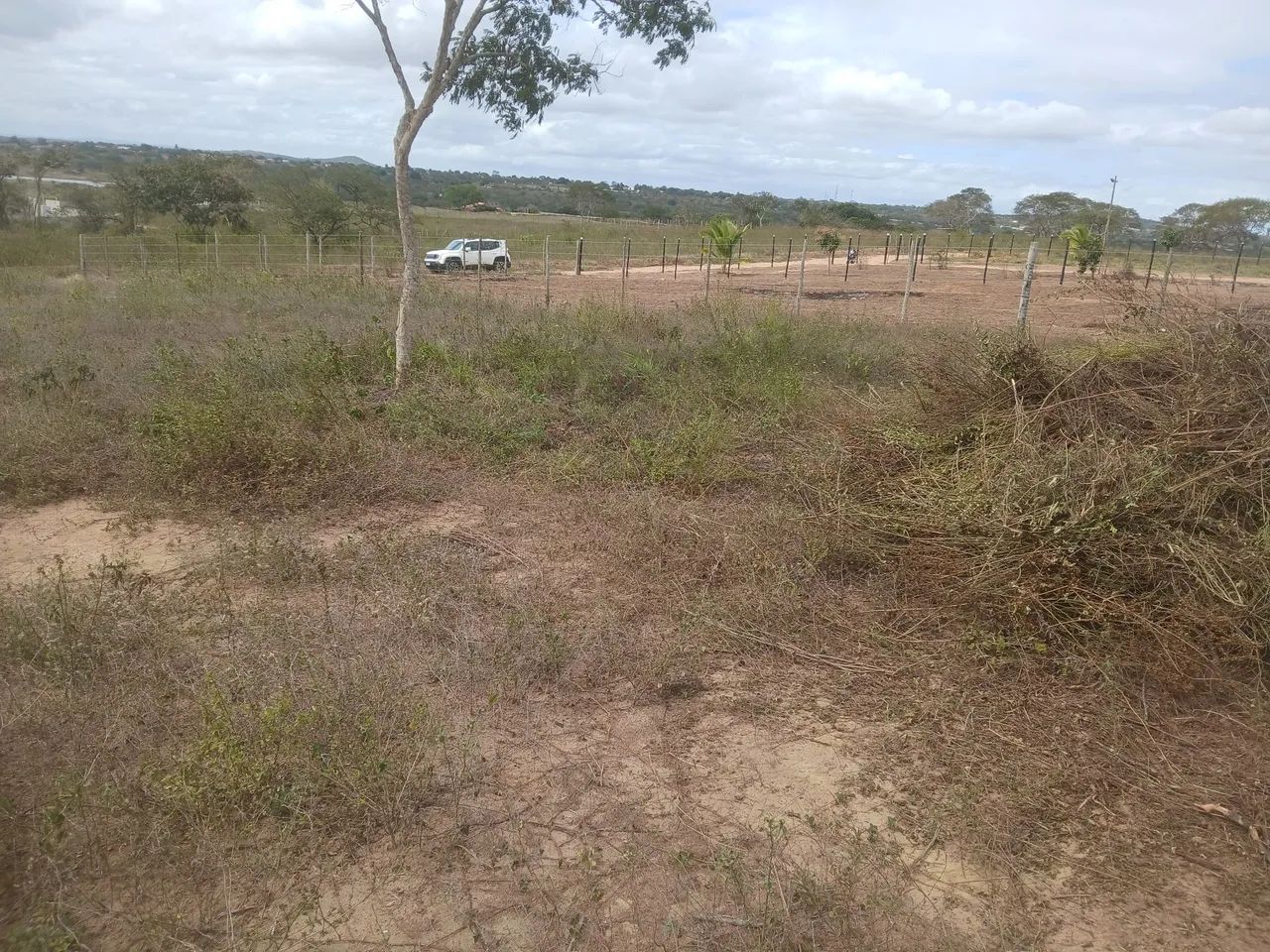 ROÇA MINI SITIO SANTA BÁRBARA BAHIA  - Foto 3
