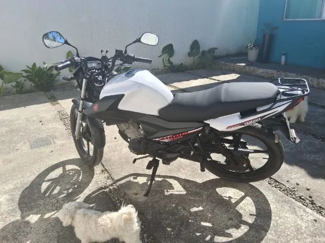 Yamaha Factor 150 ED 2021