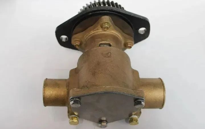 Bomba centrífuga de água salgada Sherwood P1716C - Foto 2