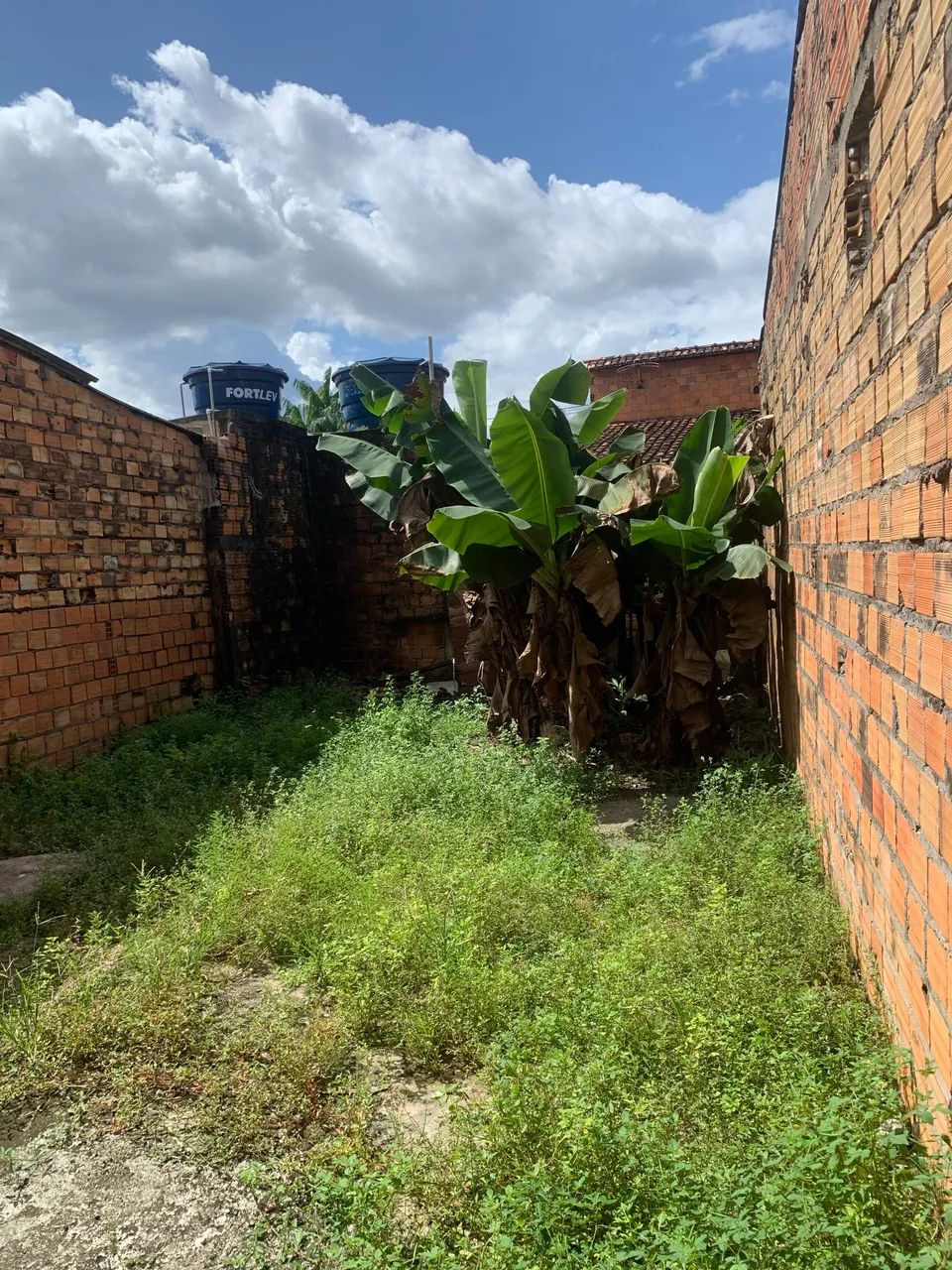 Vendo terreno no Coqueiro  - Foto 4