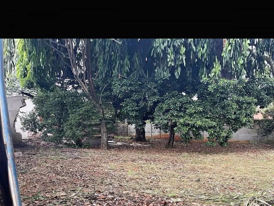 TERRENO,0 Dormitorio(s) bairro Olímpia - Foto 5
