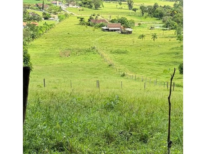 Terreno RIO DOS CEDROS - SC - Foto 2