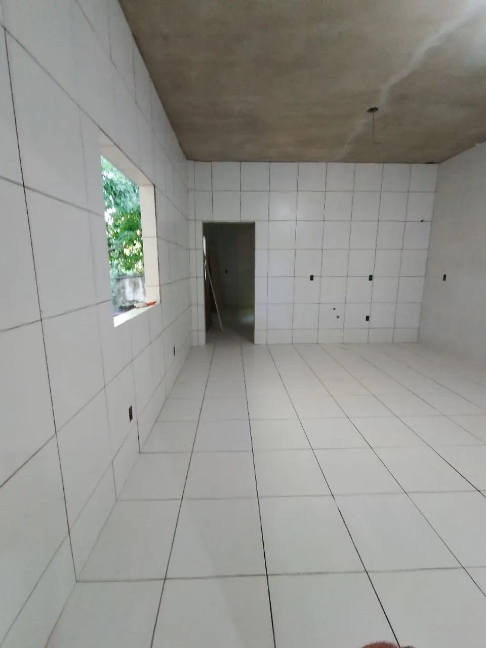 Azulejista  - Foto 5
