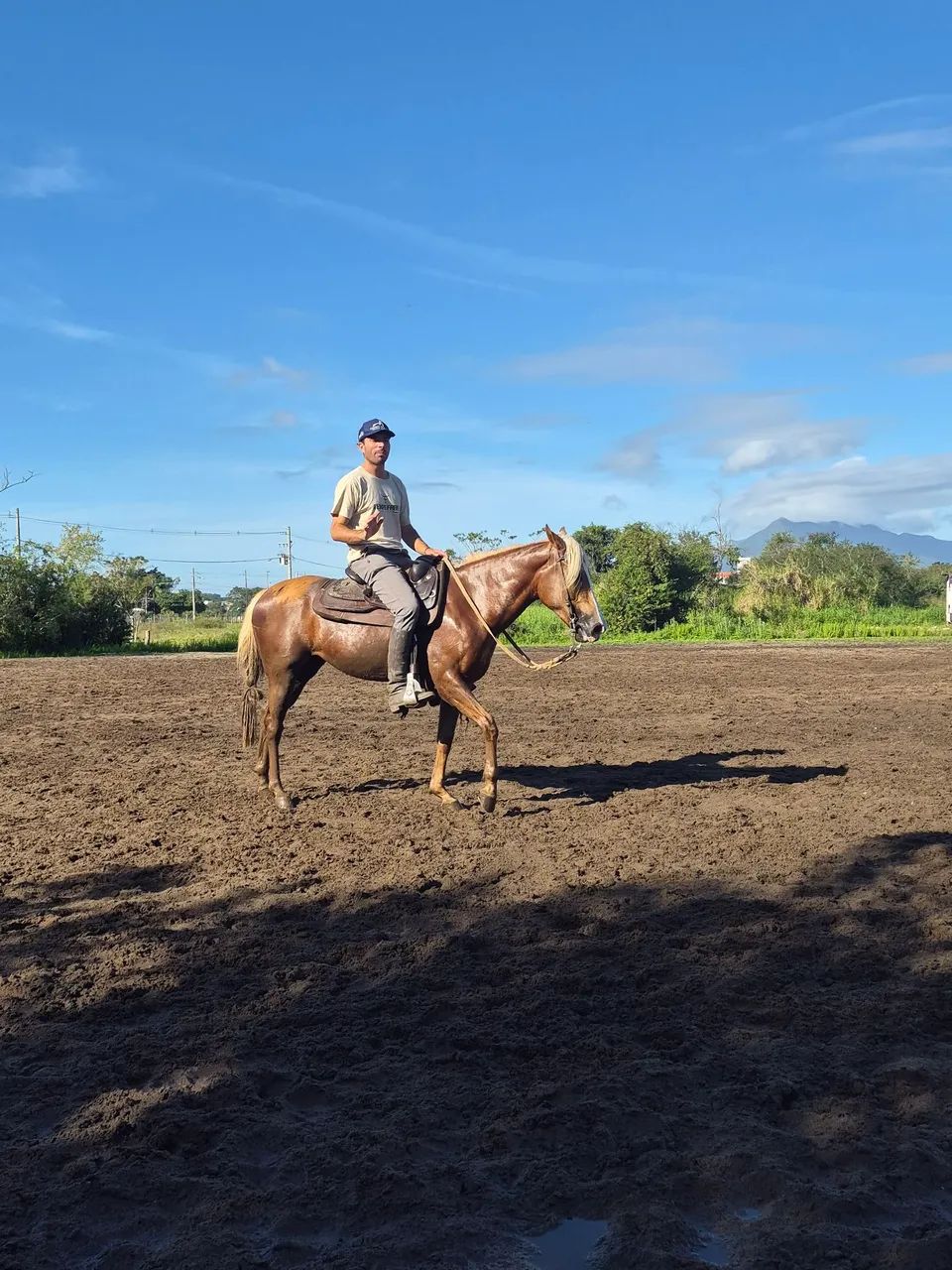 Egua Baia - Foto 5