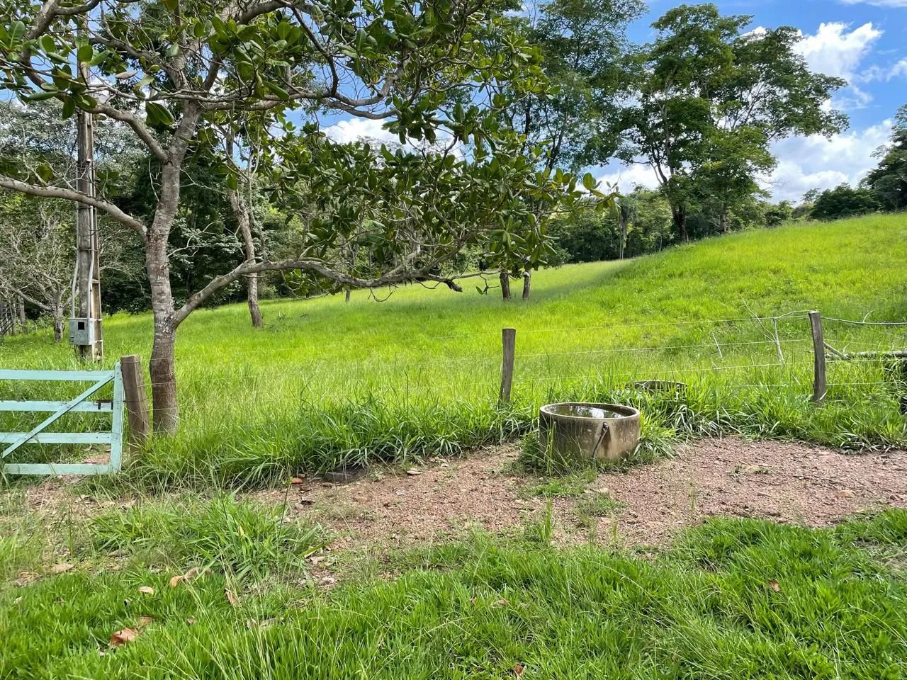 3 alq. Silvânia terra formada só R$ 850 mil - Foto 3