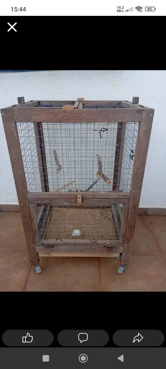 Viveiro para calopsitas e pássaros em geral 