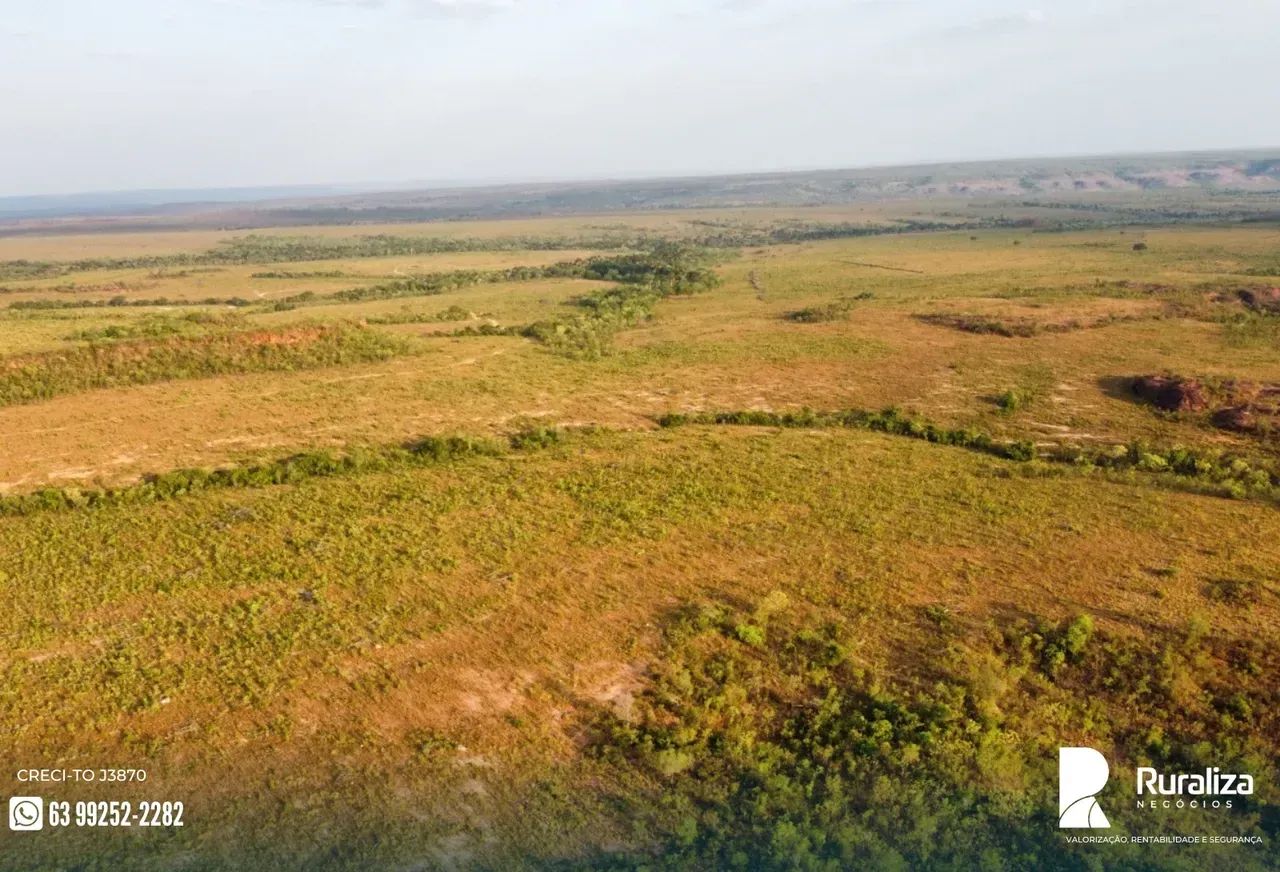 650 ALQUEIRES | 1.750 HA AGRICULTÁVEIS | 1.500 HA ABERTOS - Foto 4