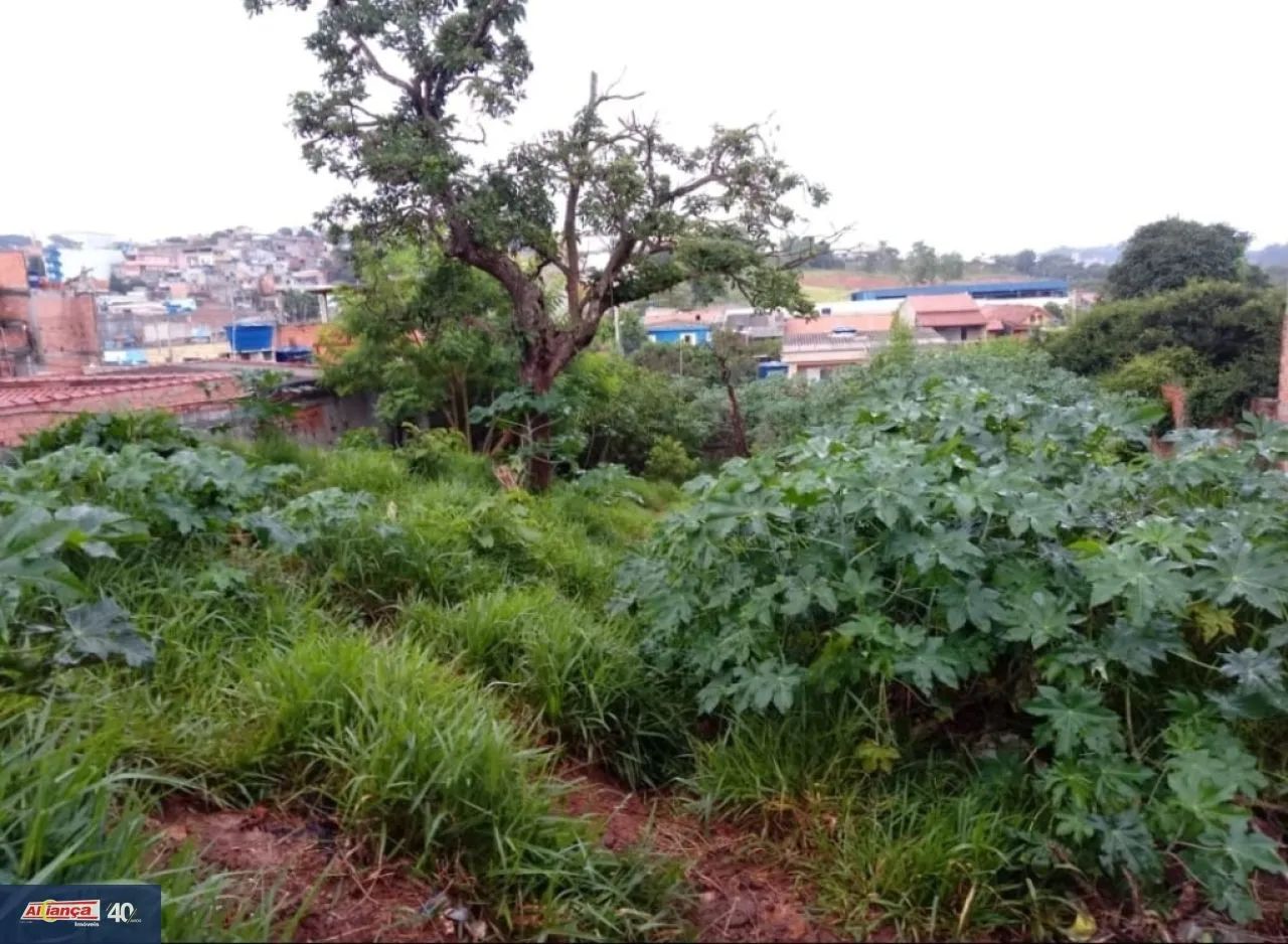 Terreno, Cidade Soberana - Guarulhos - Foto 4