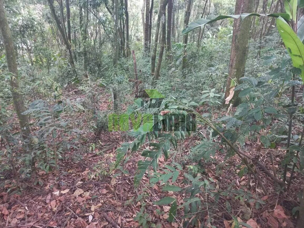 Lotes em Condomínio - Foto 4