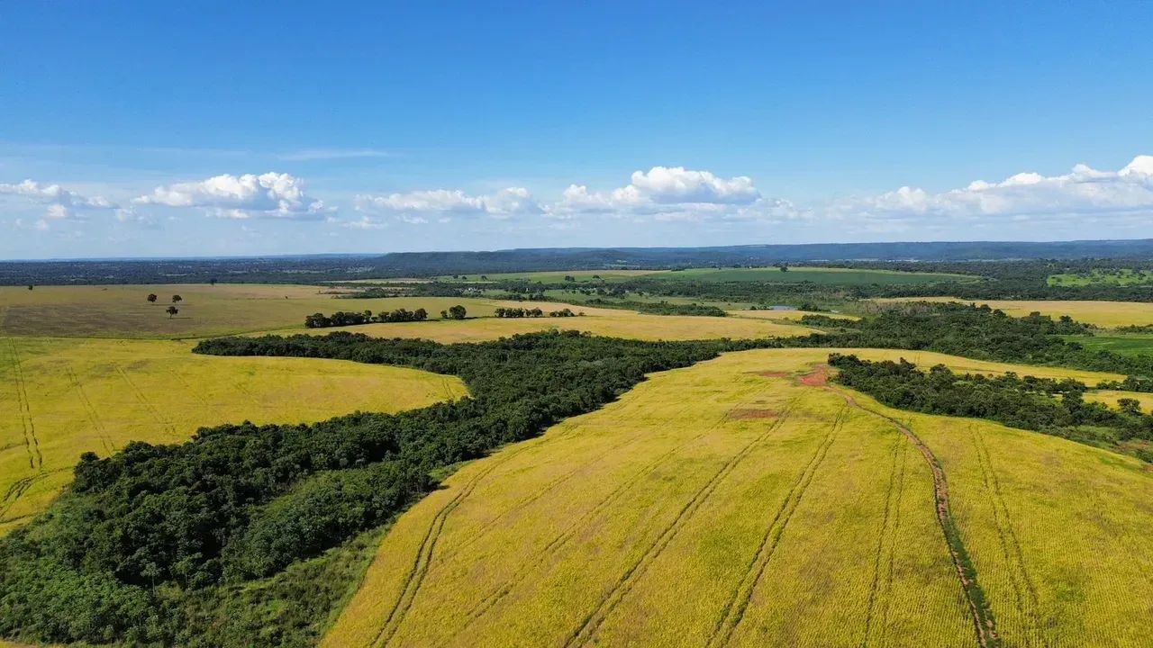 FAZENDA COM 1246H A VENDA EM SIDROLANDIA - MS - Foto 5