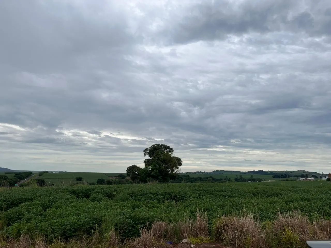 Terreno à venda 