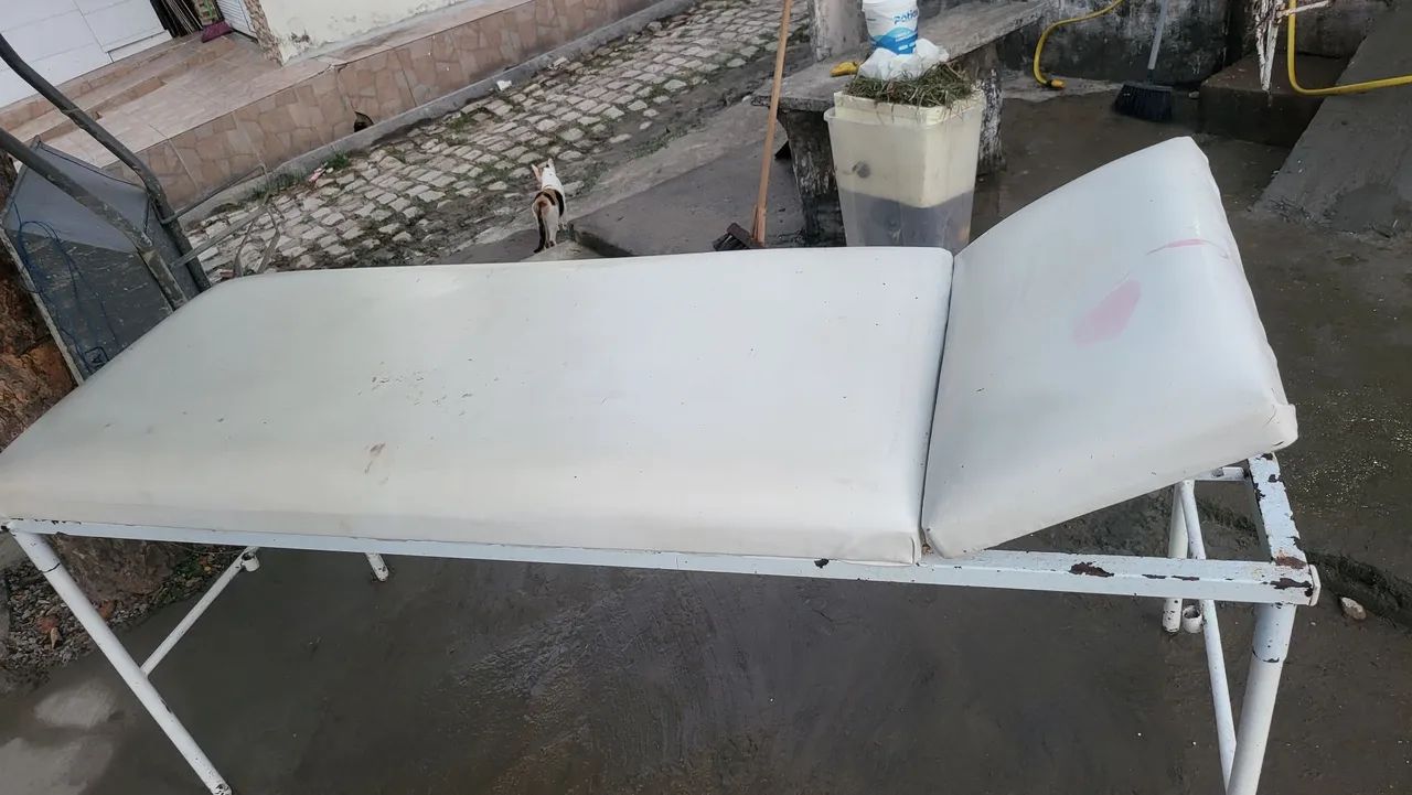 Maca estética  - Foto 5