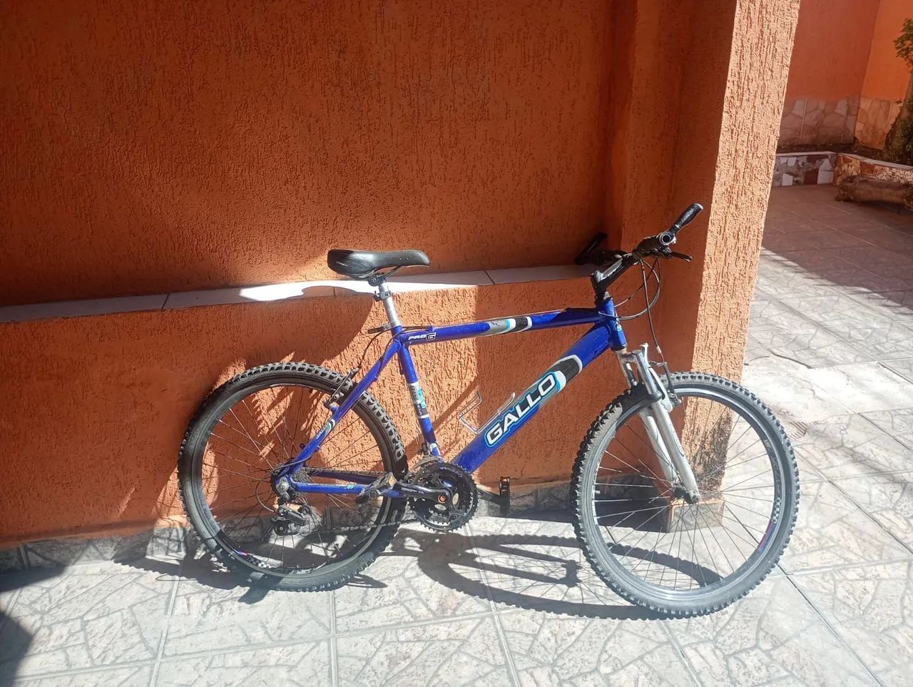 Bicicleta 