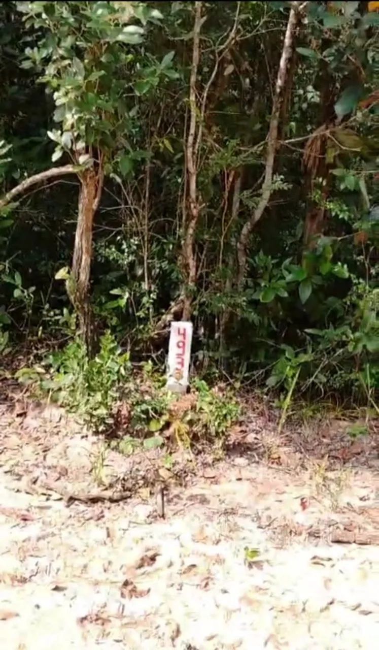 Terreno em Bofete - SP - Foto 2