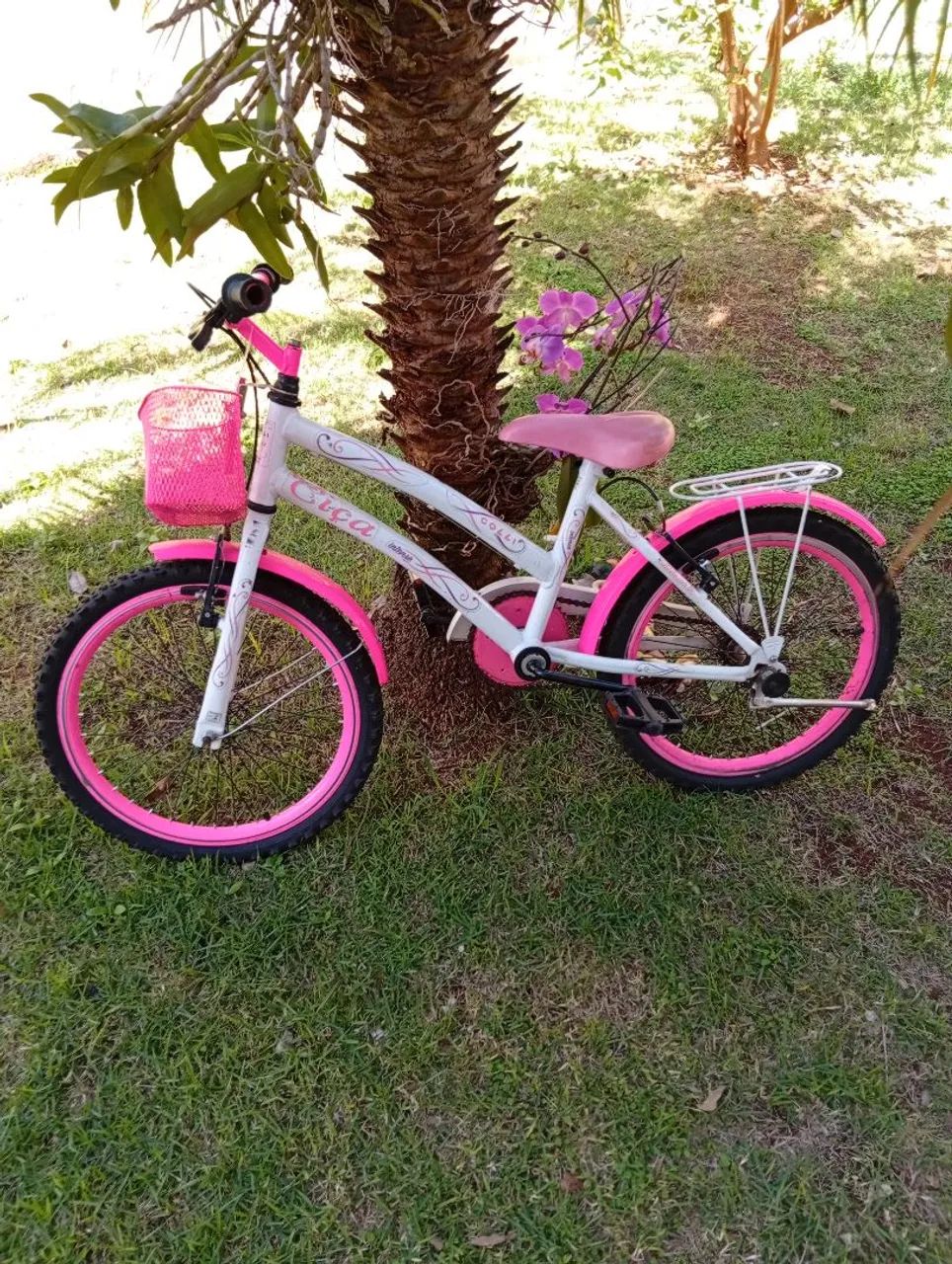 Bicicleta Ciça colli 