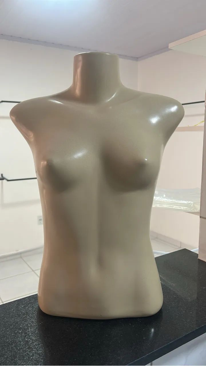 Vendo Araras para roupas, bustos  - Foto 2