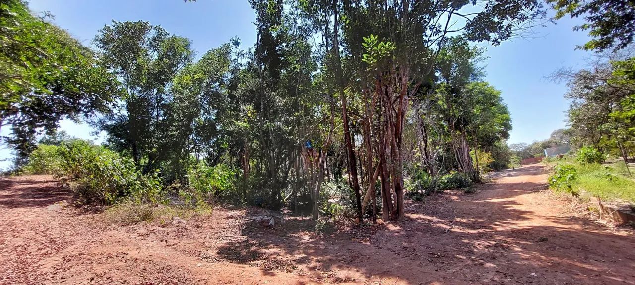 Lotes em Pipa - Foto 3