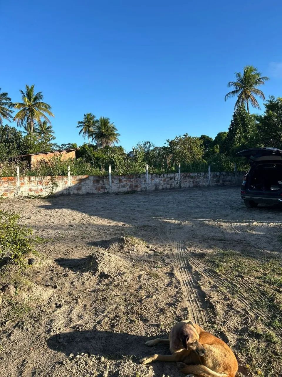 Mini chacara - Foto 3