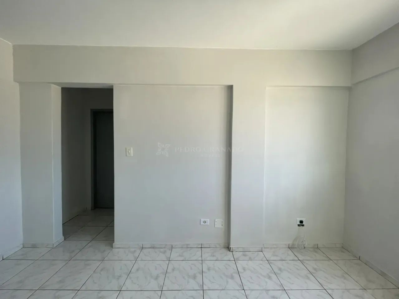 Zulmira Pontes - Foto 4
