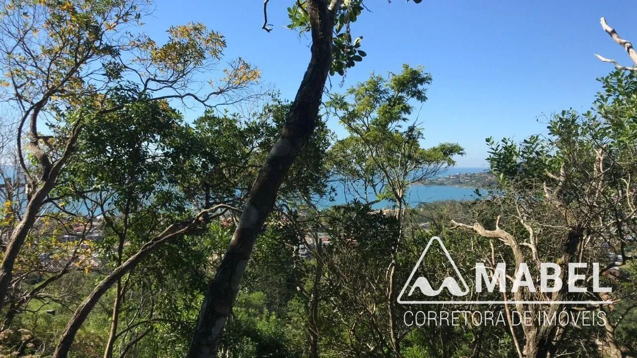 Oportunidade para Investidores - Foto 2