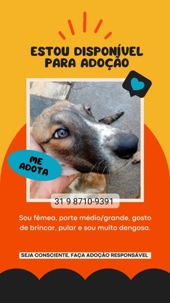 Adoção responsável de Cães  - Foto 2