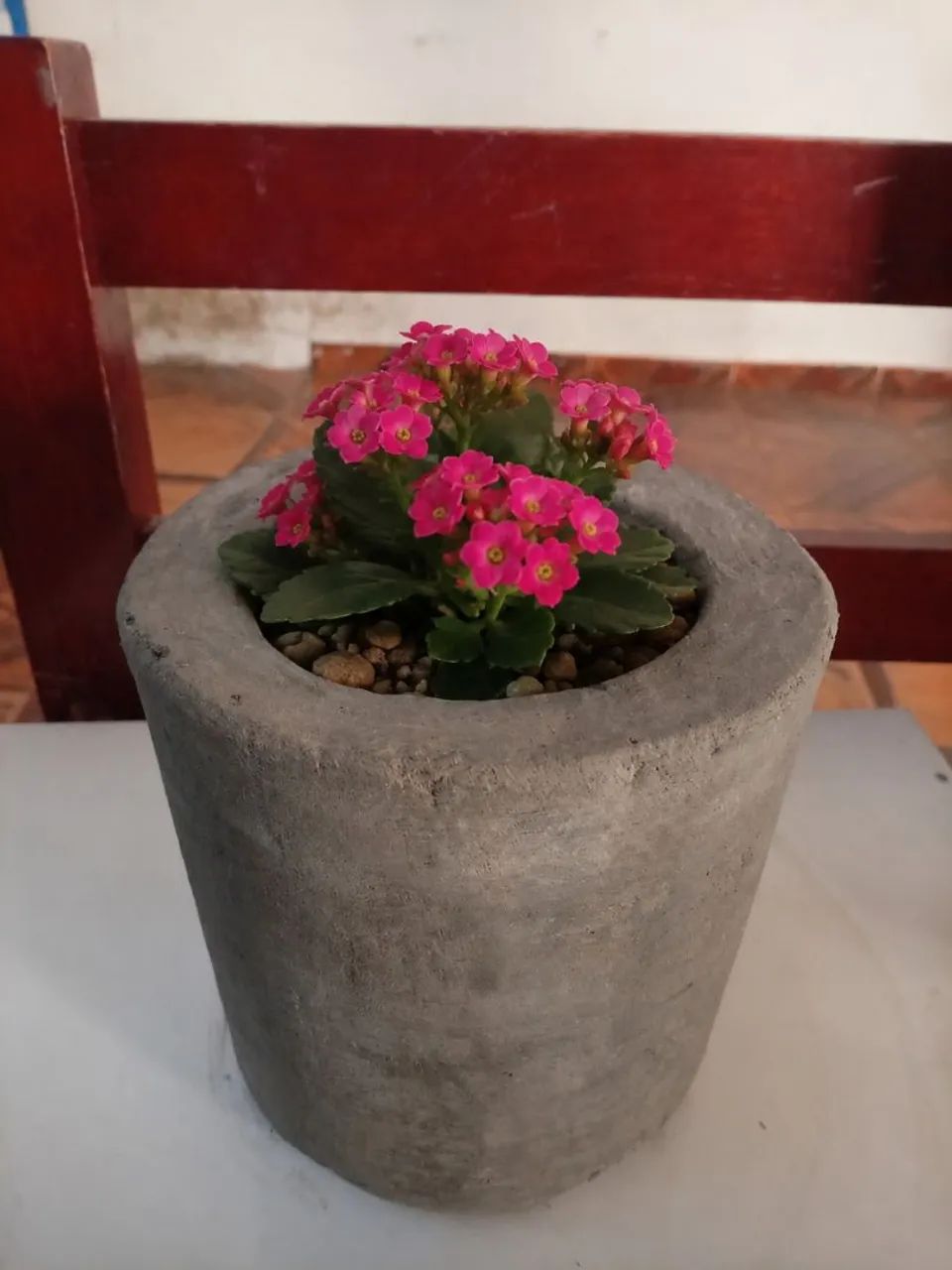 Vaso para plantas 