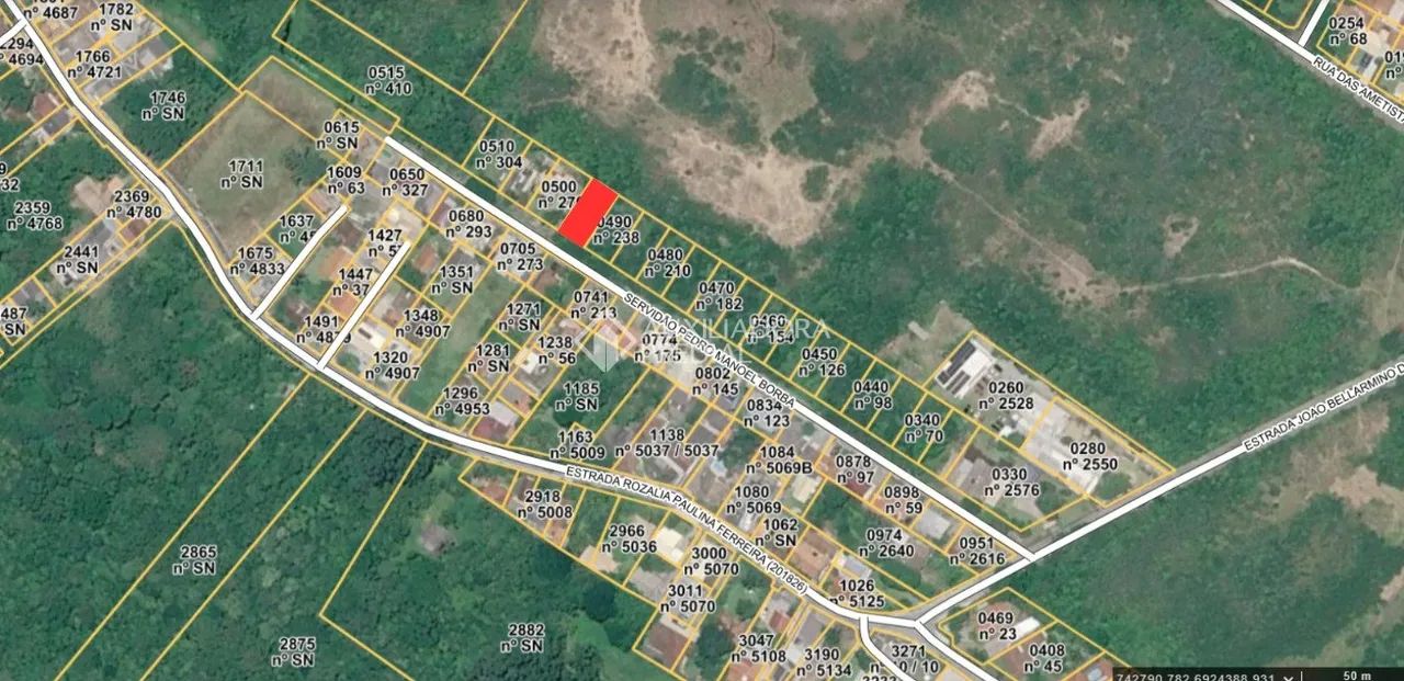 Terreno com 379 m² no Pântano do Sul - Foto 5