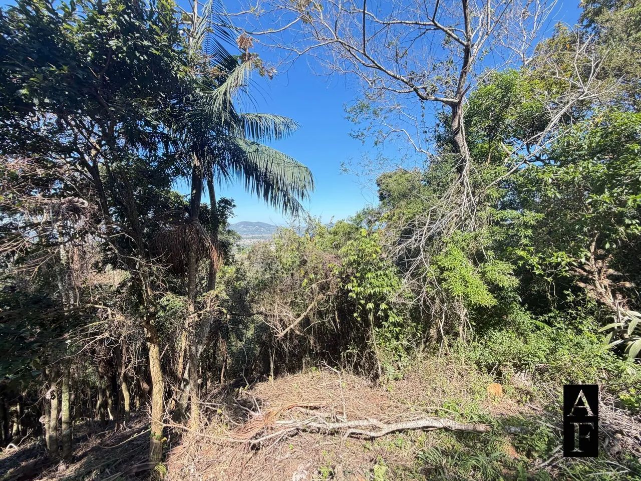 Terreno com vista mar e lagoa em Garopaba SC - Foto 4