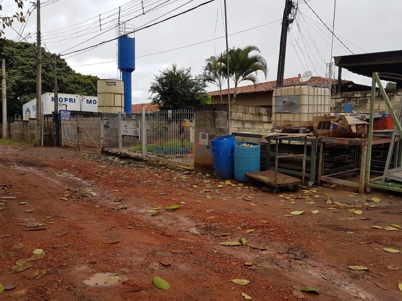 terreno - Bosque de Barão Geraldo - Campinas - Foto 3
