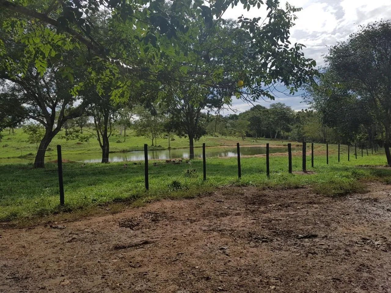 Oportunidade 13 hectares  - Foto 4