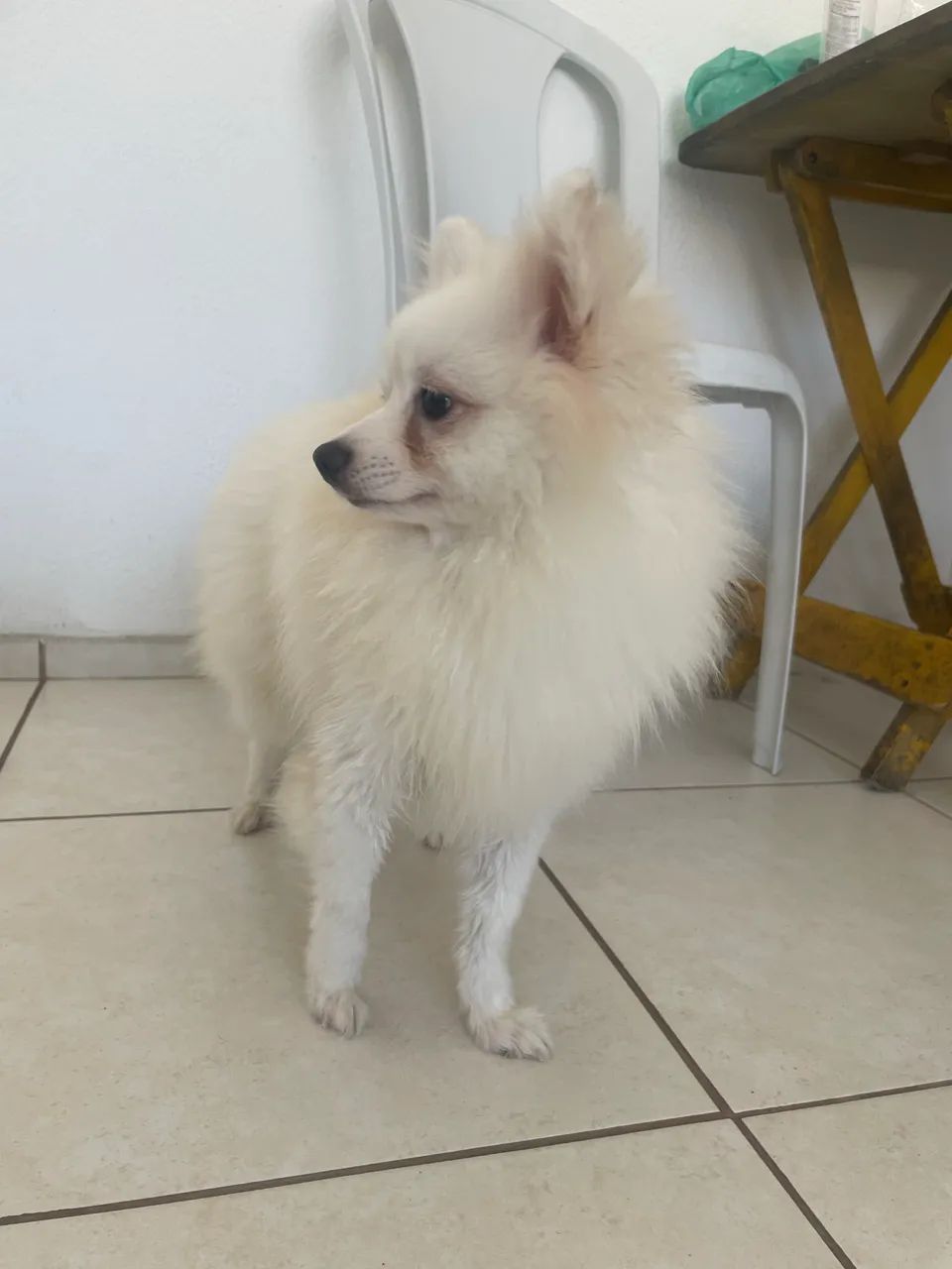 Ideal para você!