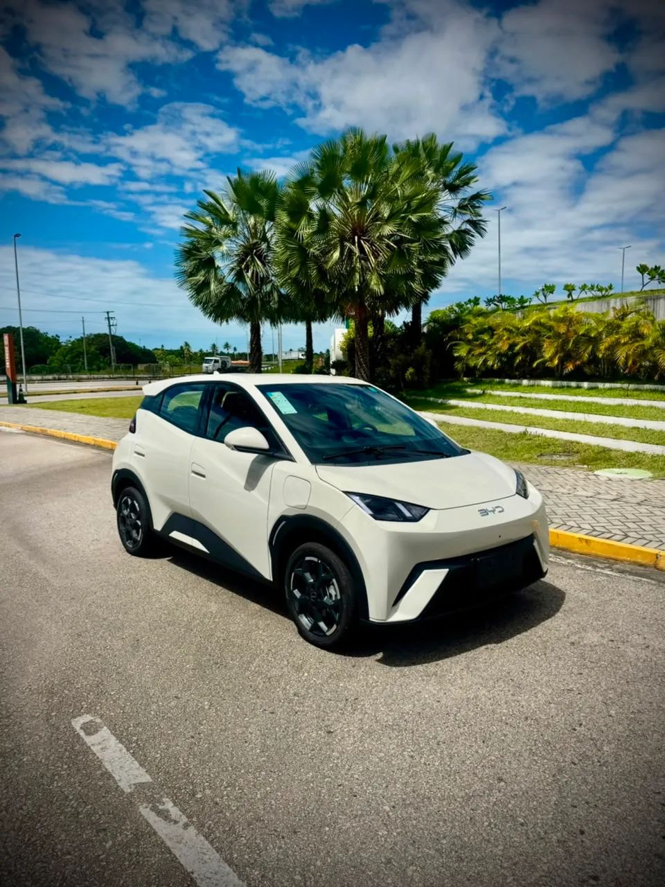BYD Dolphin Mini GL 2027 - Foto 2