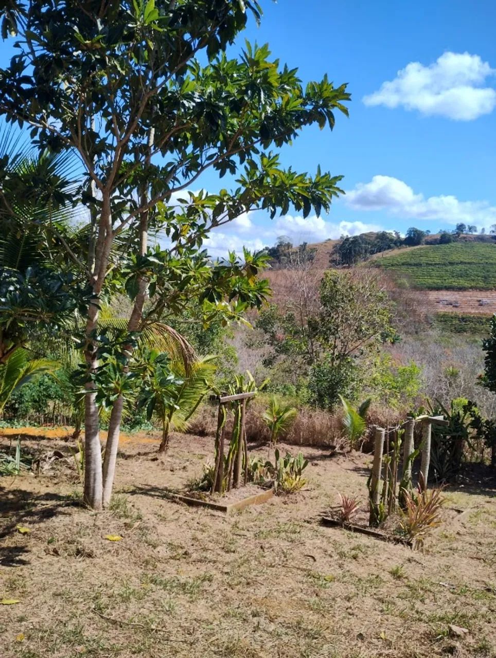 Vendo Chácara de 1000m2 em Pedro Palácio Ibiraçu ES  - Foto 2