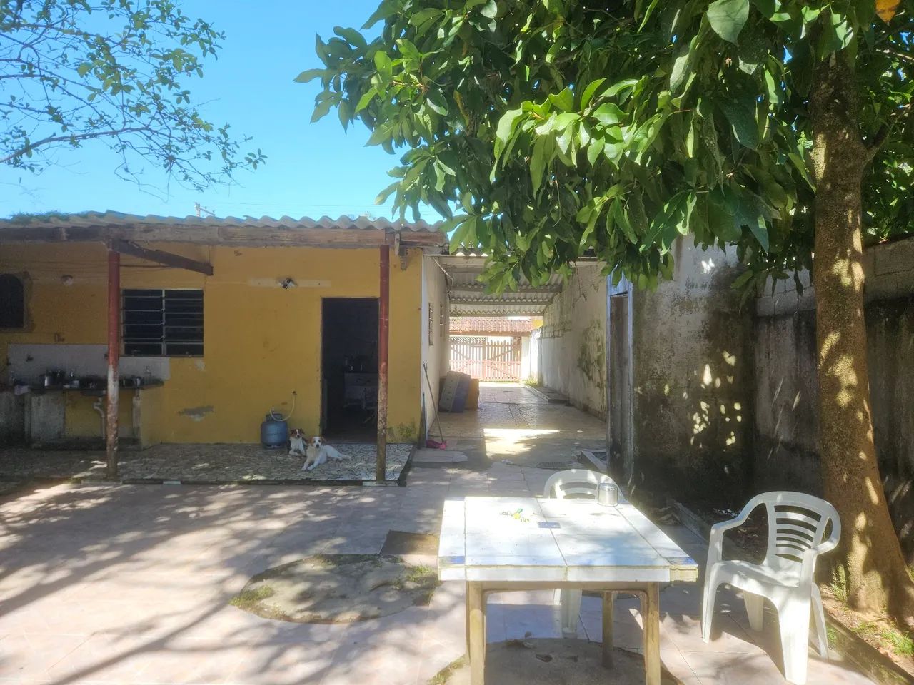 Aluga-se para camping  - Foto 2