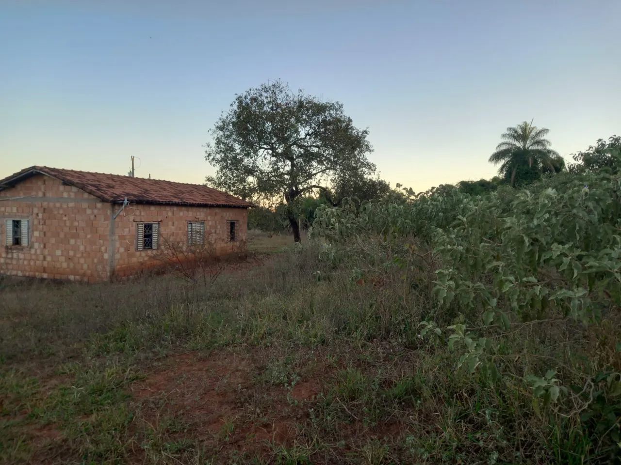 Sítio de 16,5 hectares com córrego  - Foto 5