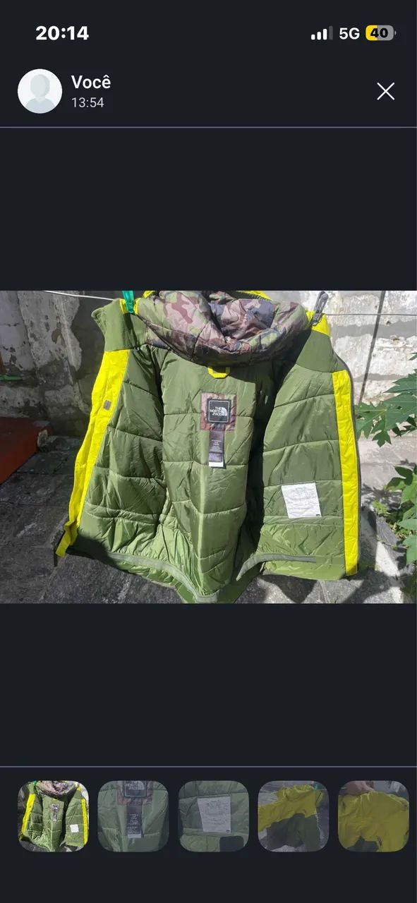 Jaqueta masculina ?the north face?