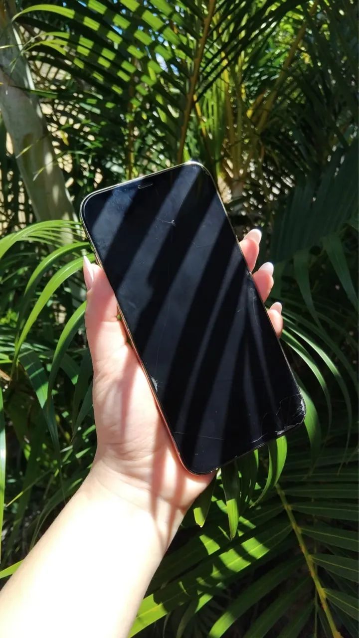 iPhone 12 Pro Max 256Gb - Foto 2