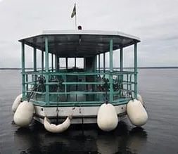 Barco à venda - Foto 4