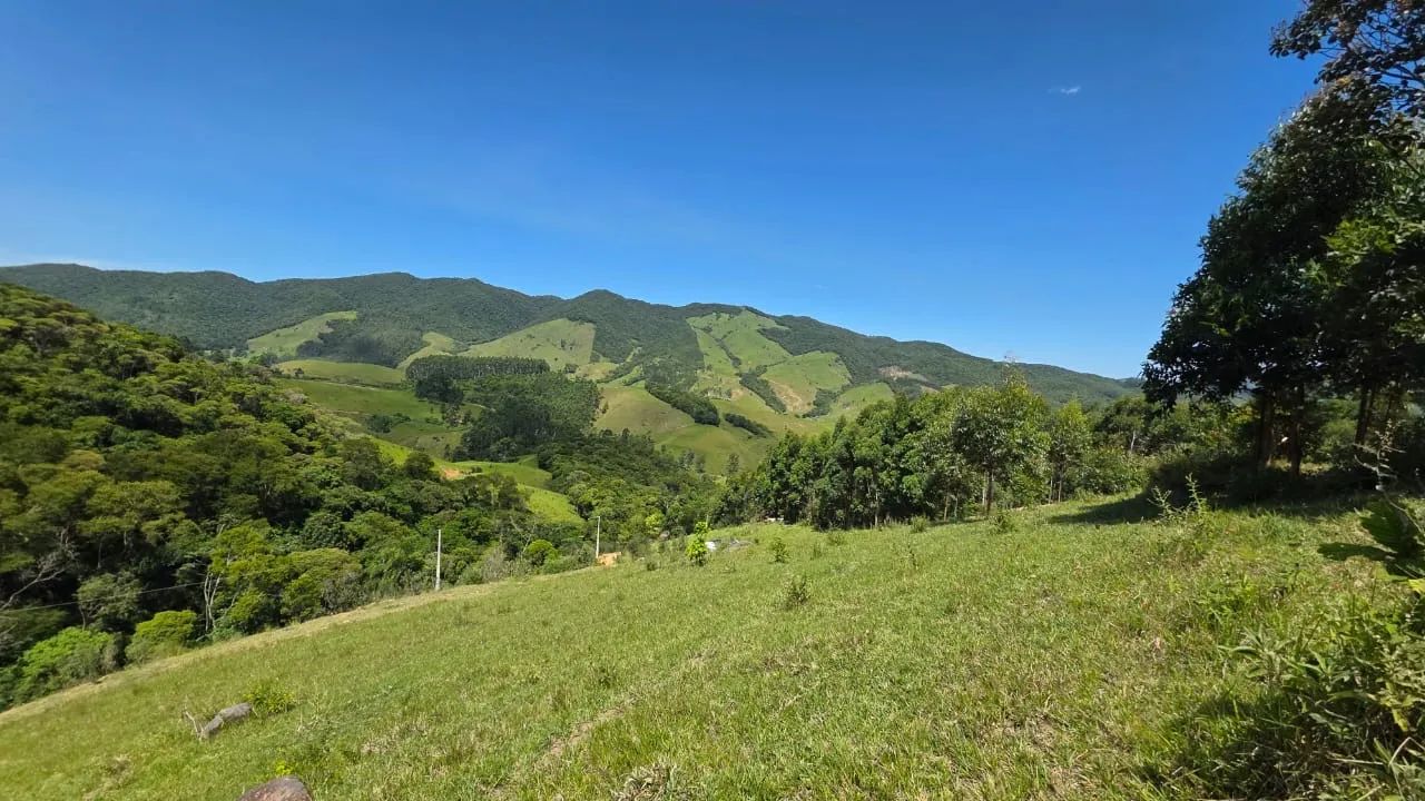 LINDO 2 HECTARES ESCRITURADO E COM LUZ!