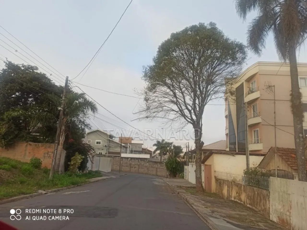 Terreno Padrão em Ponta Grossa - Foto 4