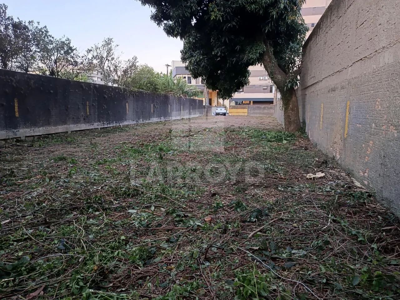 Terreno para aluguel próximo Provida e Giassi - Foto 3