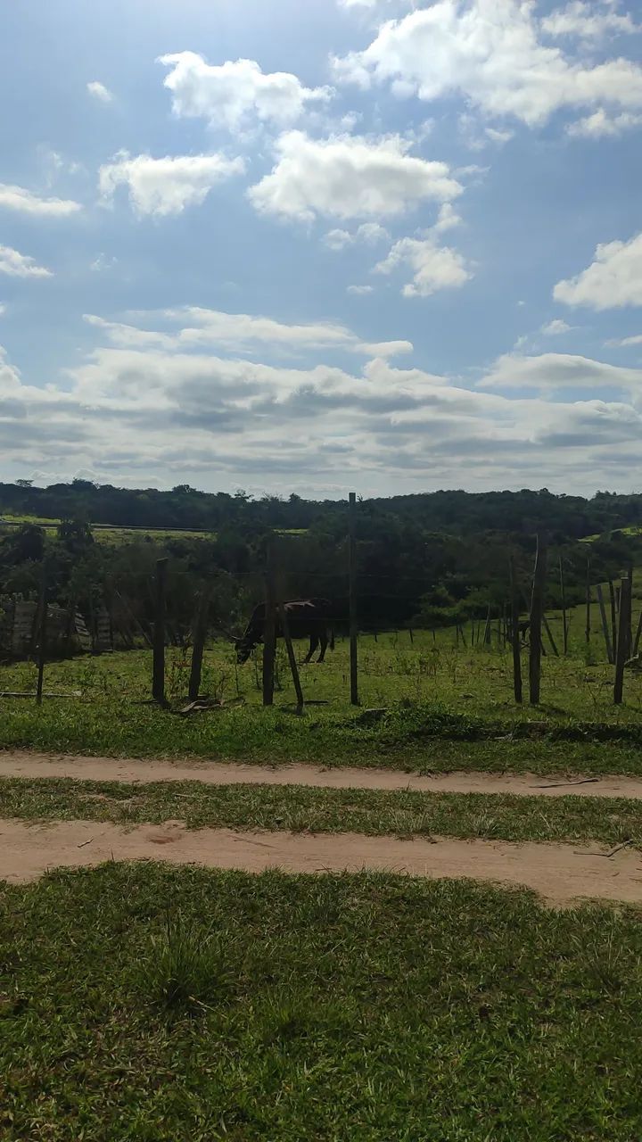 Terreno/loteamento  - Foto 4