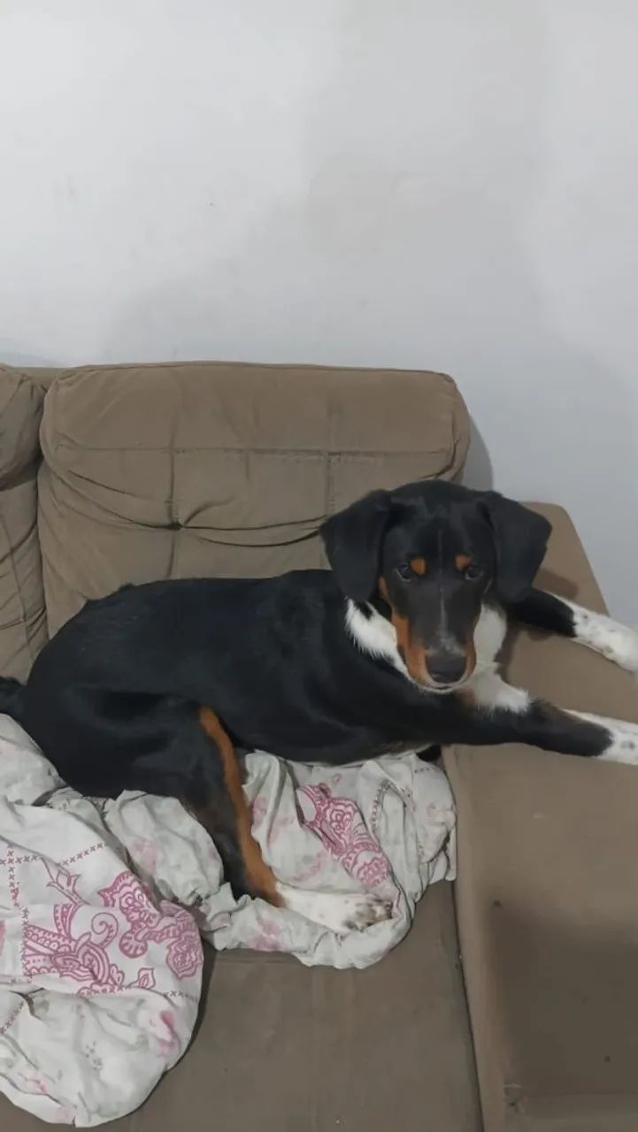 Doação 