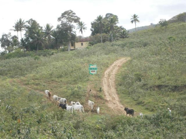 Fazenda Pecuária no Gongogi de 1.100 Hectares. Melhor custo beneficio - Foto 17