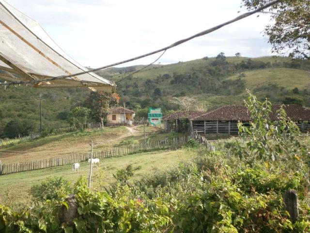 Fazenda Pecuária no Gongogi de 1.100 Hectares. Melhor custo beneficio - Foto 14