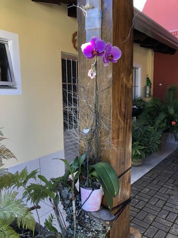 Casa em Chapada dos Guimarães - Foto 9