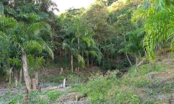 Belíssima fazenda em Cachoeiras de Macacu RJ 122 oportunidade!!! - Foto 7