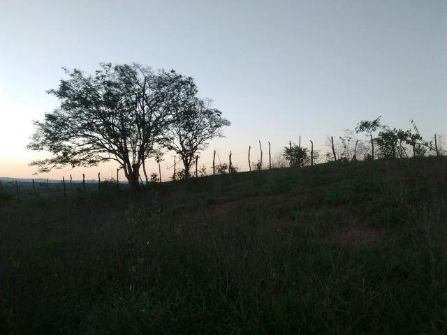 Lotes, lote, Terreno, Terra, Loteamento em Surubim - Foto 4