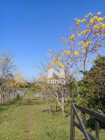 Chácara com 1 dormitório à venda, 50000 m² por r$ 318.000,00 - santa cruz da concórdia - t - Foto 3